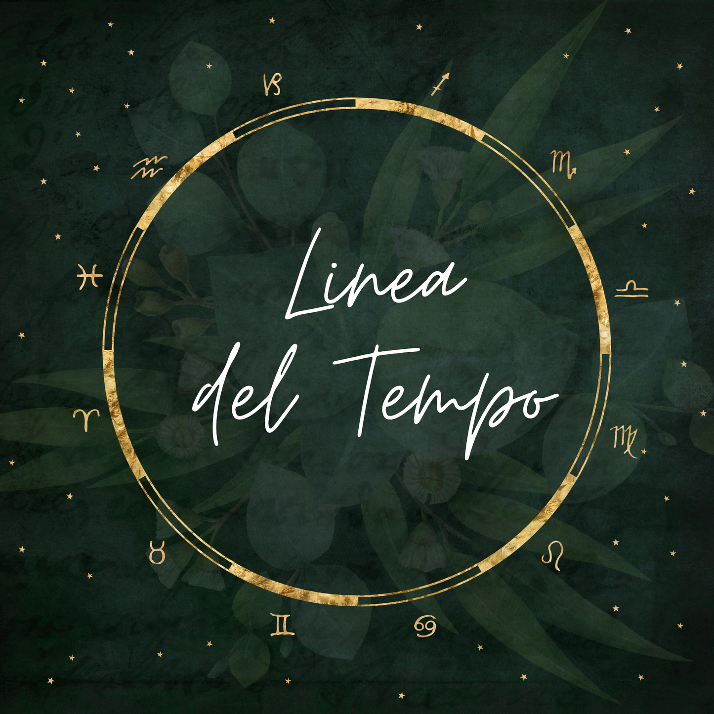 Linea del Tempo del Bambino 0-18 anni