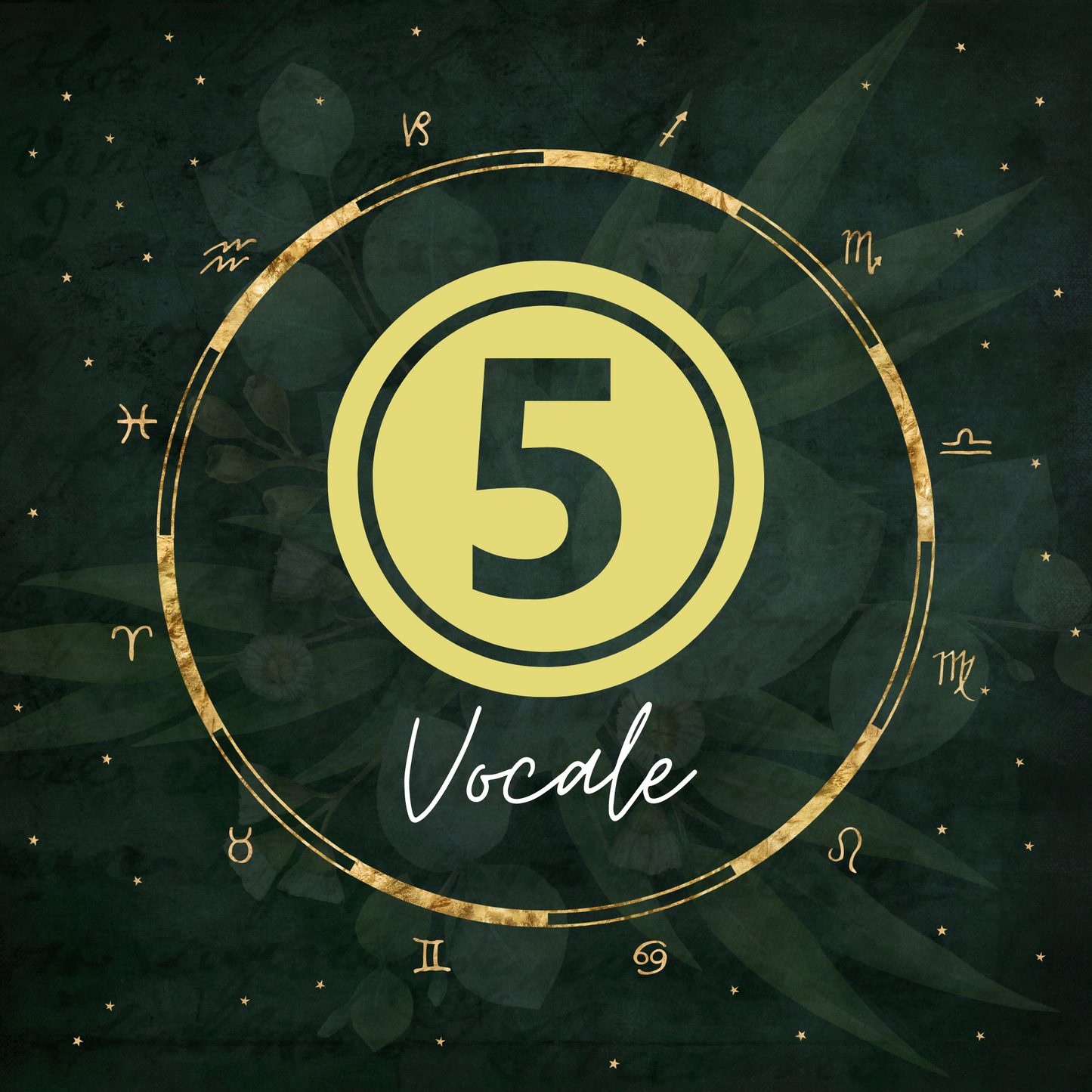 Abbonamento 5 Consulti Vocali