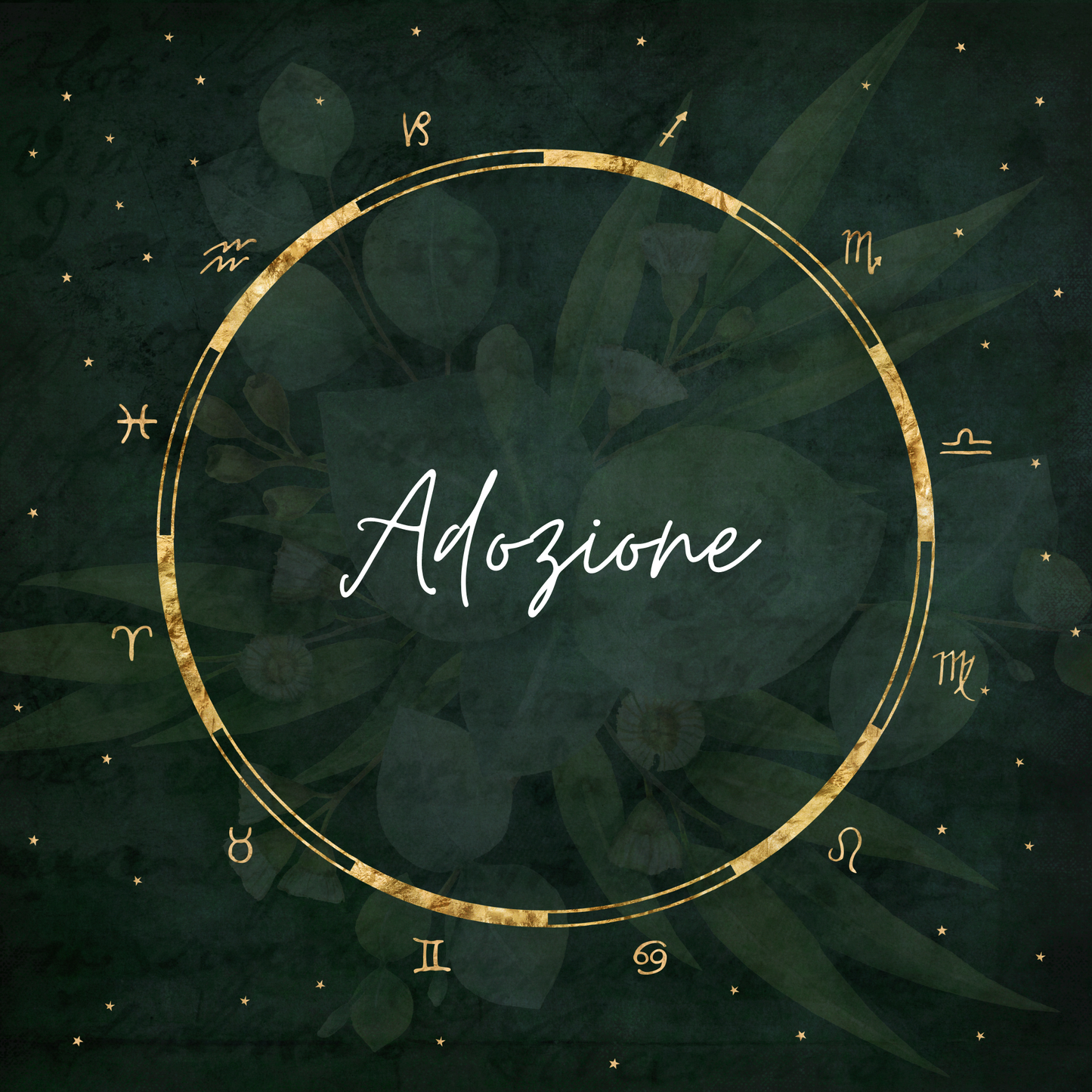 Animali Domestici Adottati - Da dove vengo?