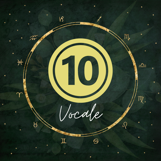 Abbonamento 10 Consulti Vocali