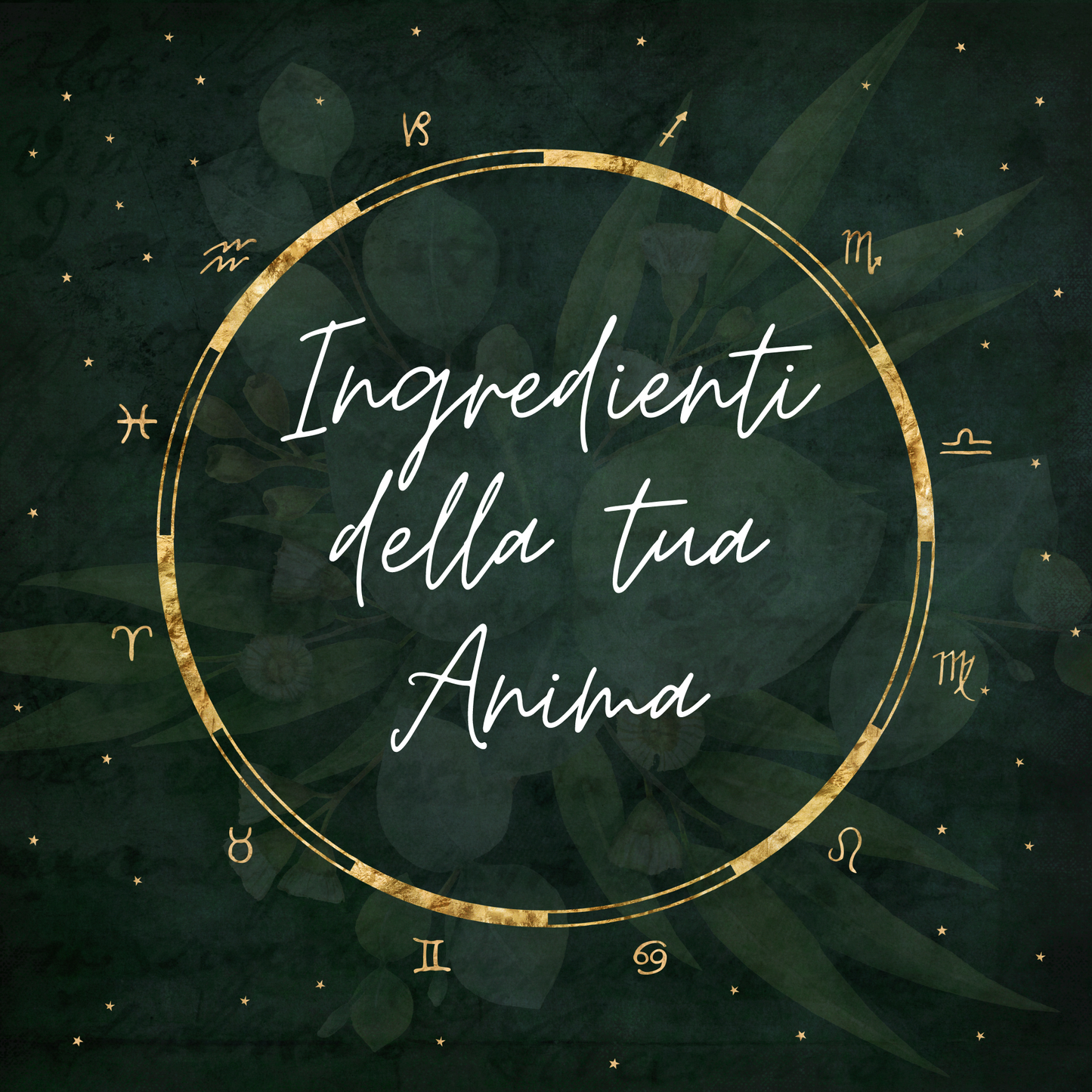 Ingredienti della tua Anima